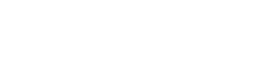 Logo DHPS wit